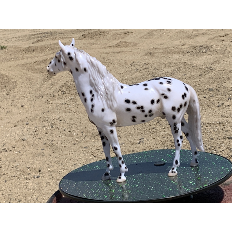 Breyer Custom Horse Traditional New Mold In 25 Cossimo Foundation Leopard Appaloosa