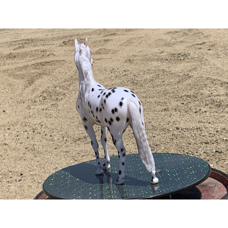 Breyer Custom Horse Traditional New Mold In 25 Cossimo Foundation Leopard Appaloosa