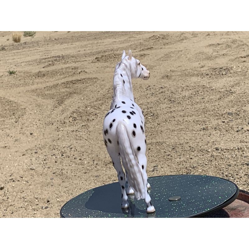 Breyer Custom Horse Traditional New Mold In 25 Cossimo Foundation Leopard Appaloosa