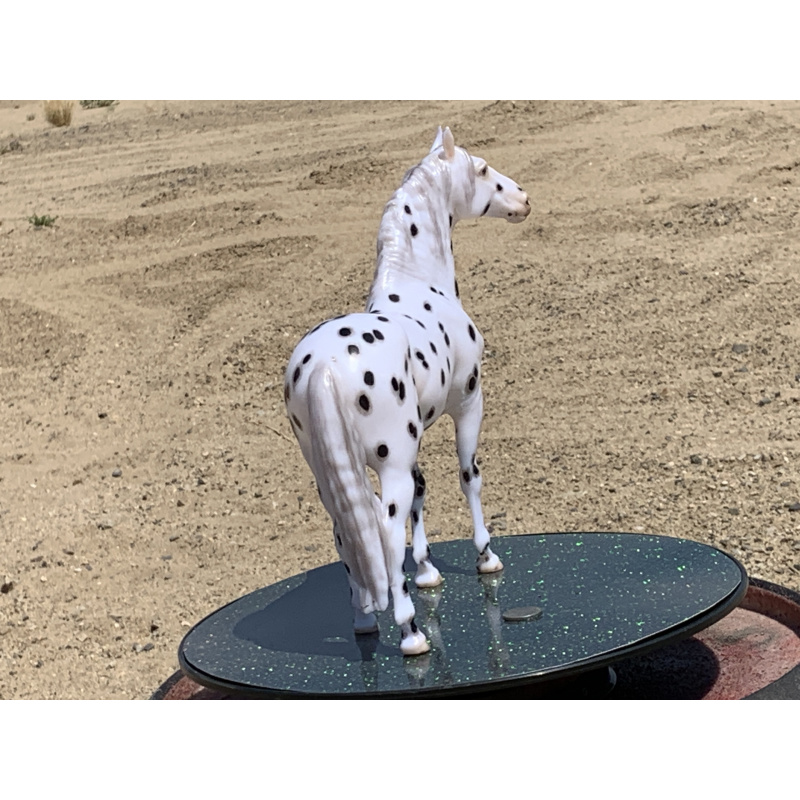 Breyer Custom Horse Traditional New Mold In 25 Cossimo Foundation Leopard Appaloosa