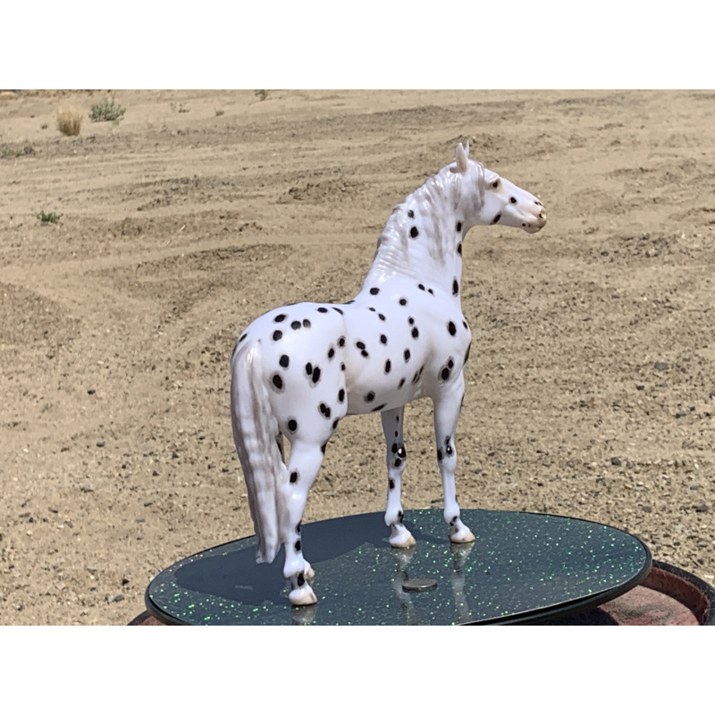 Breyer Custom Horse Traditional New Mold In 25 Cossimo Foundation Leopard Appaloosa