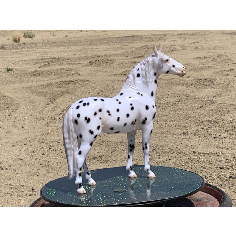Breyer Custom Horse Traditional New Mold In 25 Cossimo Foundation Leopard Appaloosa