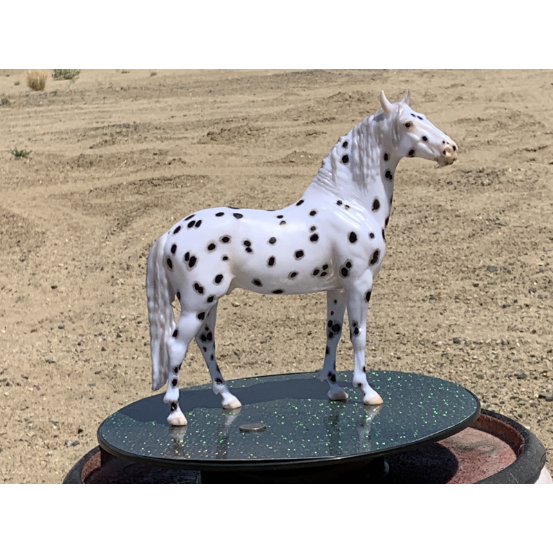 Breyer Custom Horse Traditional New Mold In 25 Cossimo Foundation Leopard Appaloosa