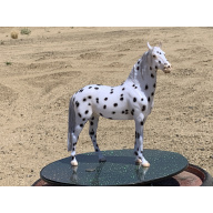 Breyer Custom Horse Traditional New Mold In 25 Cossimo Foundation Leopard Appaloosa