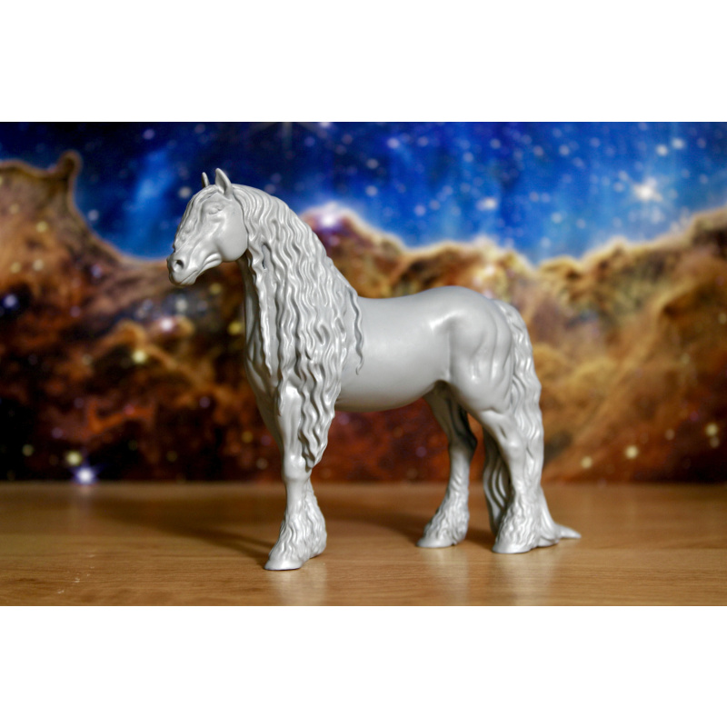 KLAAS - Friesian Stallion