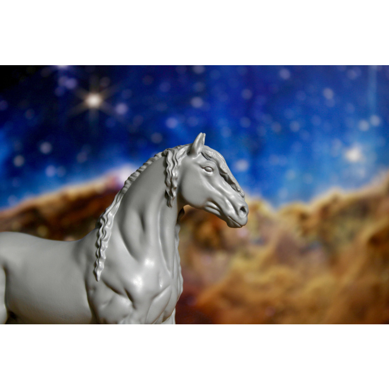 KLAAS - Friesian Stallion