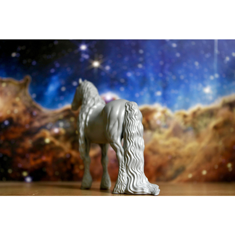 KLAAS - Friesian Stallion