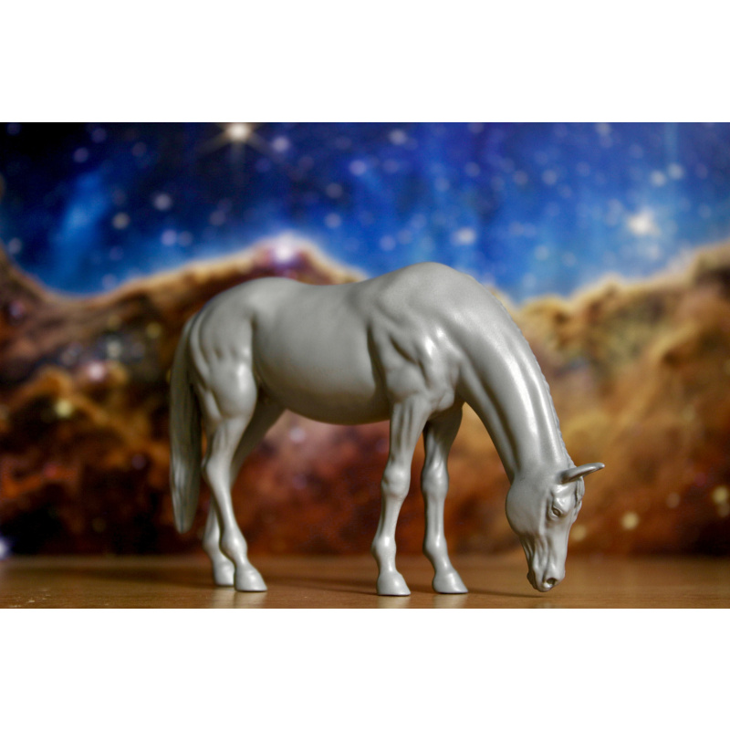 CORSO - Wild Stallion