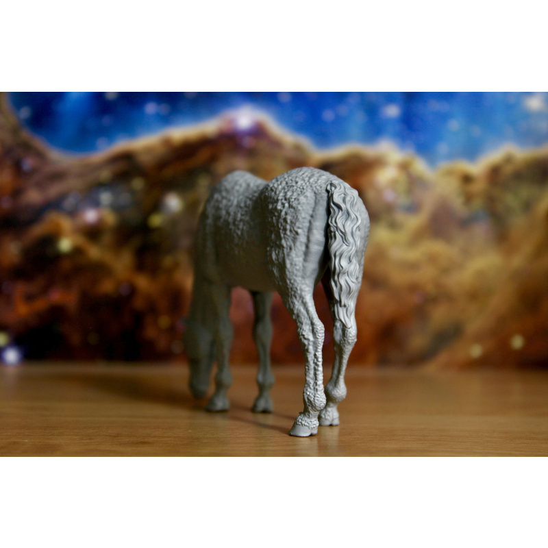 DOLLY - American Bashkir Curly Mare