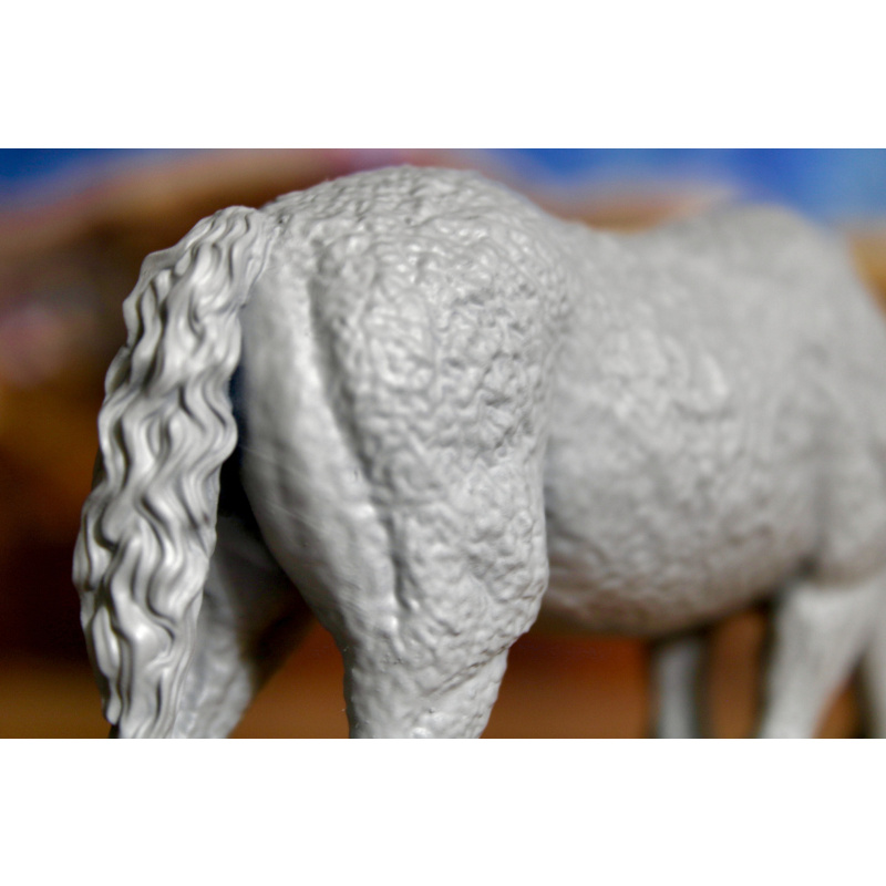 DOLLY - American Bashkir Curly Mare