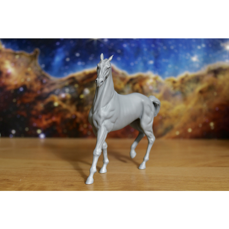 RAJA - Akhal Teke Mare