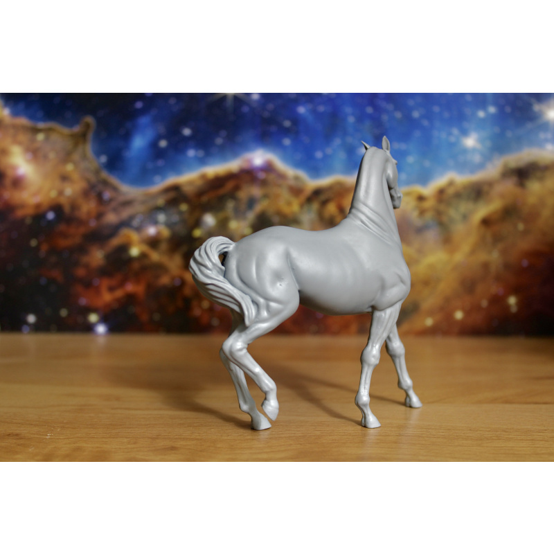 RAJA - Akhal Teke Mare