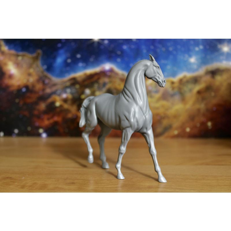 RAJA - Akhal Teke Mare