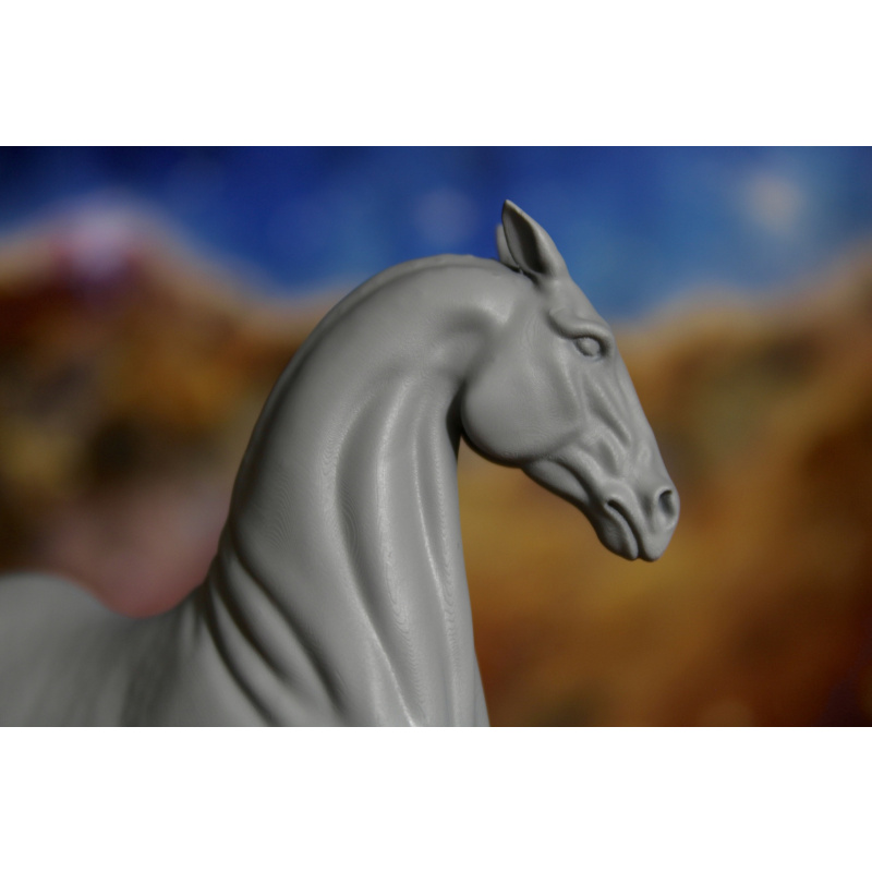 RAJA - Akhal Teke Mare