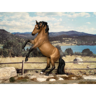 Custom Breyer Premier model Carman painted to a Pale Dappled Golden Buckskin