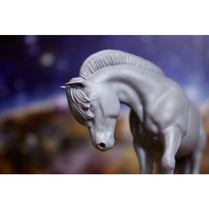 BRYNE (Trimmed mane) - Fjord Mare