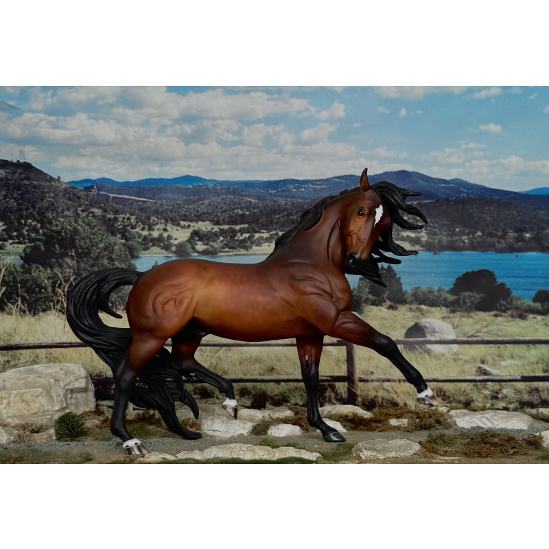 CM BREYER ESPRIT TO A  DAPPLED BAY