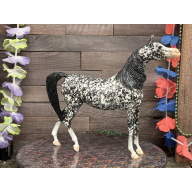 Breyer Custom Horse Traditional Wild Dapple Black Zaphira