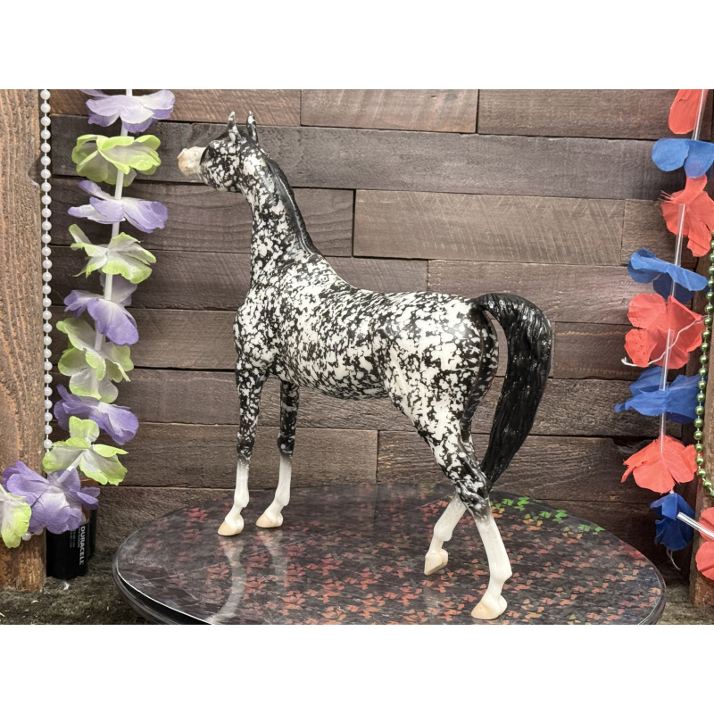 Breyer Custom Horse Traditional Wild Dapple Black Zaphira