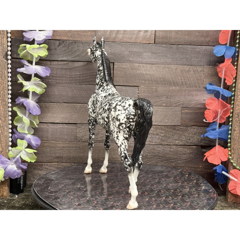 Breyer Custom Horse Traditional Wild Dapple Black Zaphira
