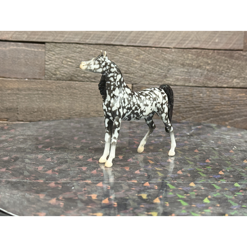 Breyer Custom Horse Stablemate Wild Dapple Black Zaphira