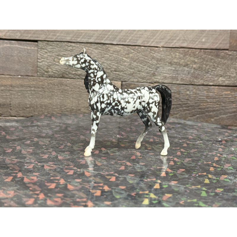 Breyer Custom Horse Stablemate Wild Dapple Black Zaphira