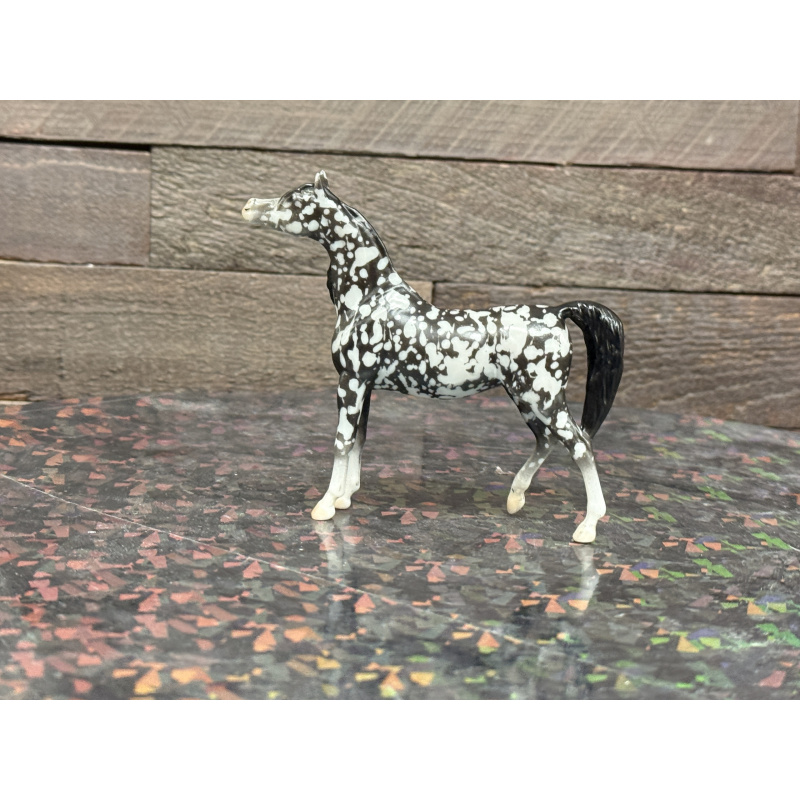 Breyer Custom Horse Stablemate Wild Dapple Black Zaphira
