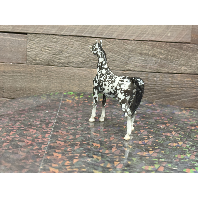 Breyer Custom Horse Stablemate Wild Dapple Black Zaphira