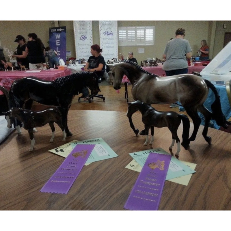 2015 Eureka Live Trophy - Glossy Bay Pebbles Arabian