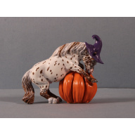 Pumpkin Pony Chestnut Appaloosa Leopard Shetland