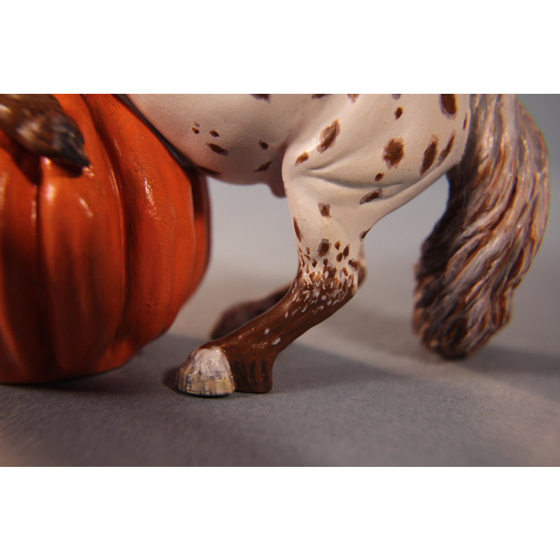 Pumpkin Pony Chestnut Appaloosa Leopard Shetland