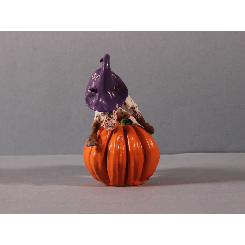 Pumpkin Pony Chestnut Appaloosa Leopard Shetland