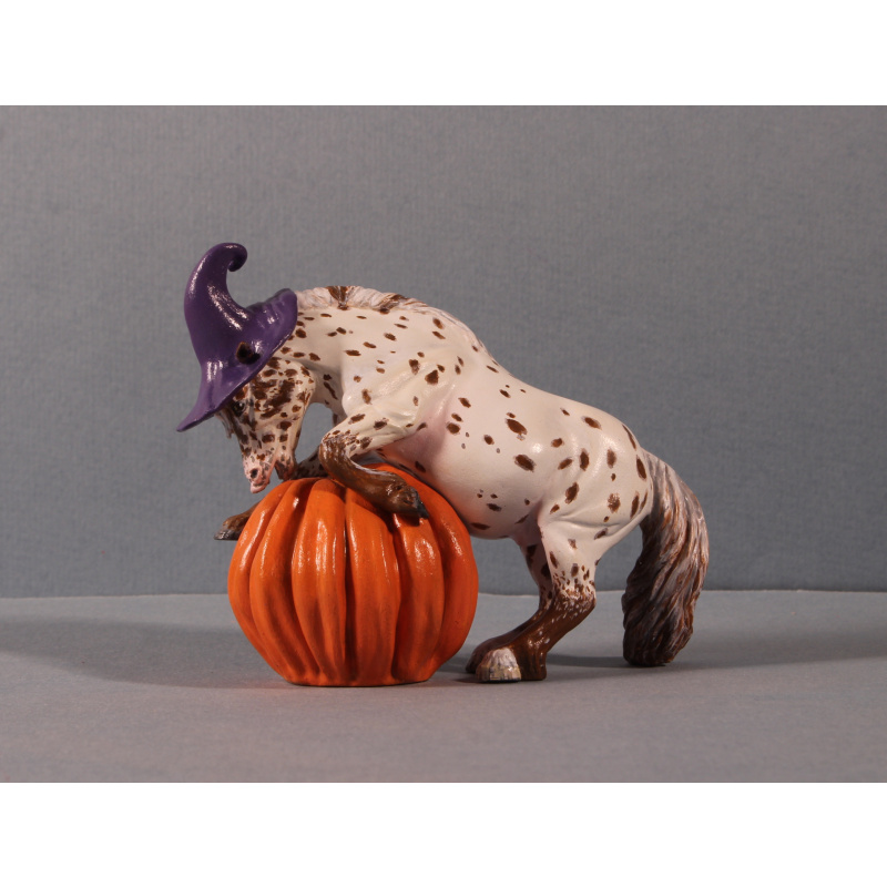 Pumpkin Pony Chestnut Appaloosa Leopard Shetland