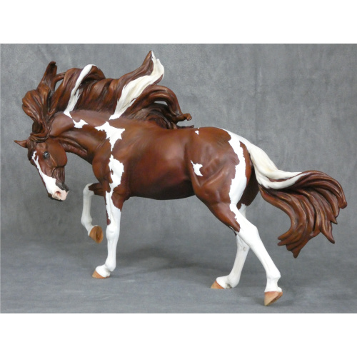 **Rare Find** Tradition Duelo, 95% paint by Maggie Bennett
