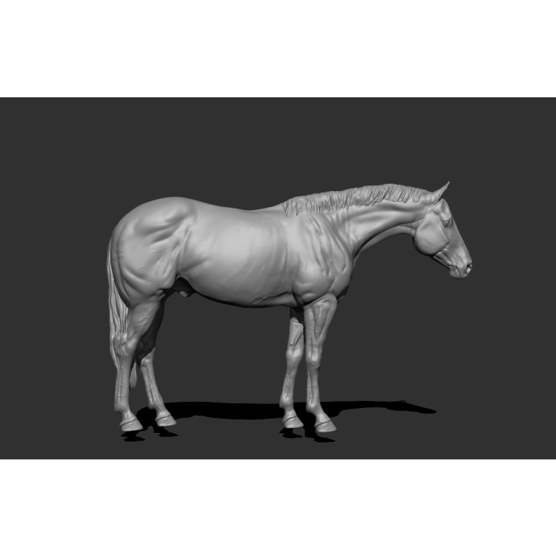 Parmesan UNPAINTED stablemate