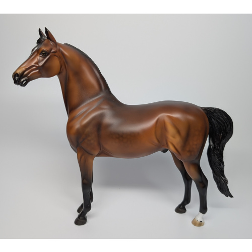 Stone Horses Santa Fe Morgan Marquee LE 3
