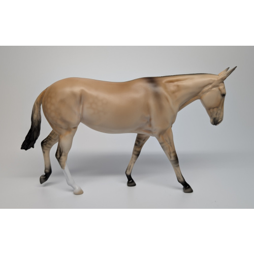 Stone Horses Pebbles Mule Muse