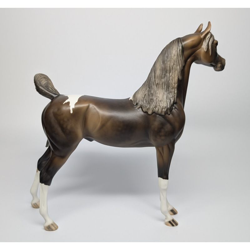 Stone Horses Arabian Kentucky Rain