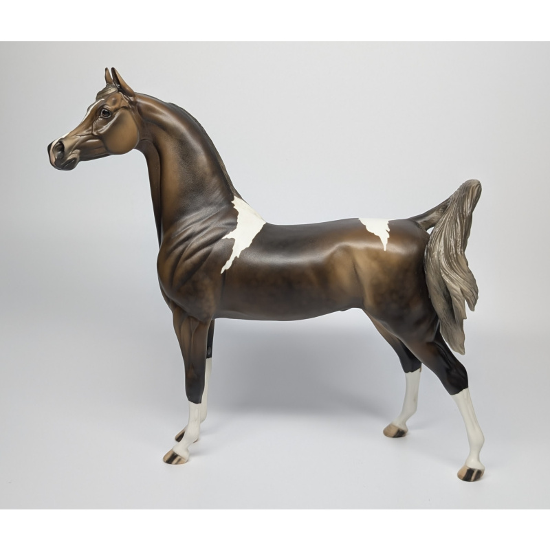 Stone Horses Arabian Kentucky Rain