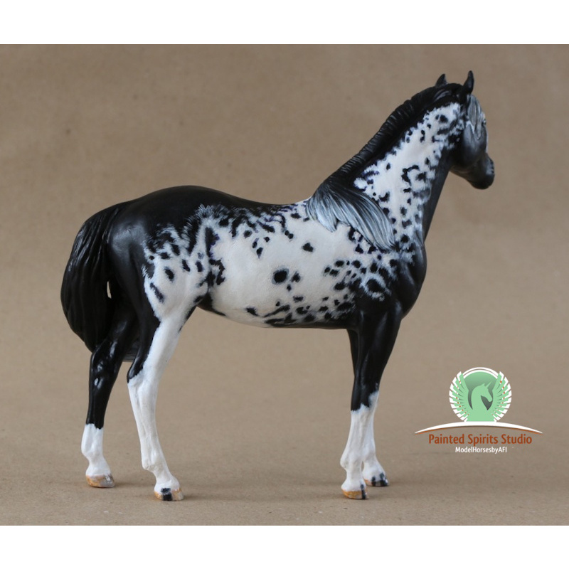Paimpol du Clos du Rohan - CM Breyer Duchess to black and white Overo Paint