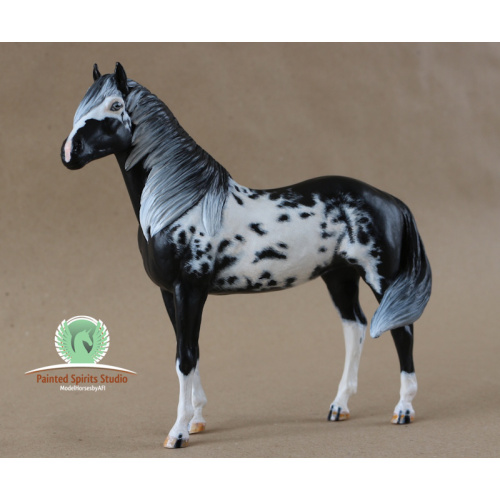 Paimpol du Clos du Rohan - CM Breyer Duchess to black and white Overo Paint