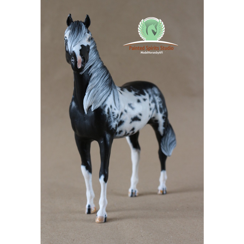 Paimpol du Clos du Rohan - CM Breyer Duchess to black and white Overo Paint