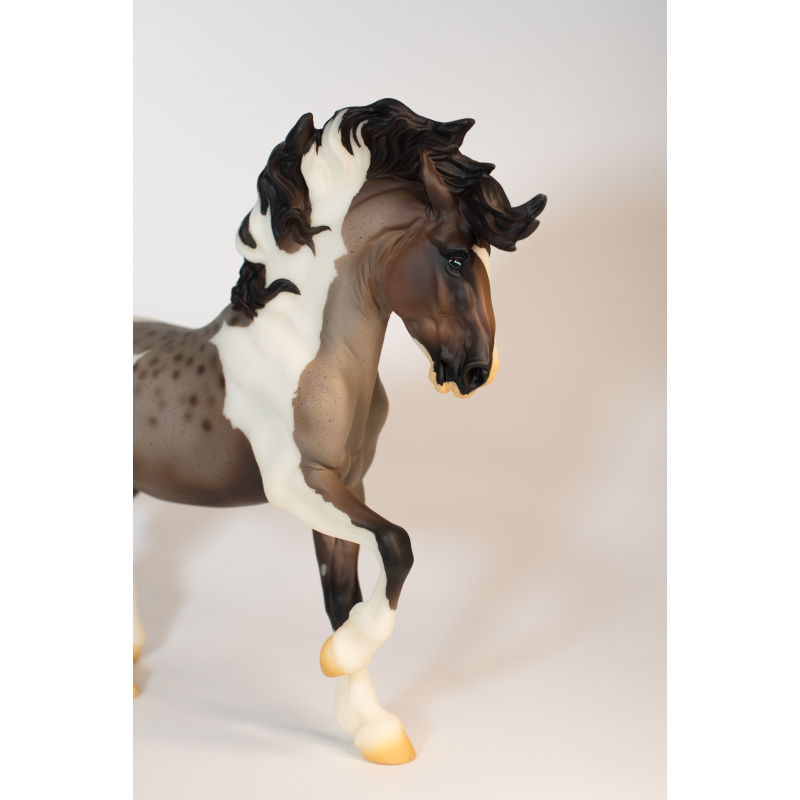 Faux OF Fireheart to a Bay Roan Paint with Reverse Dapples