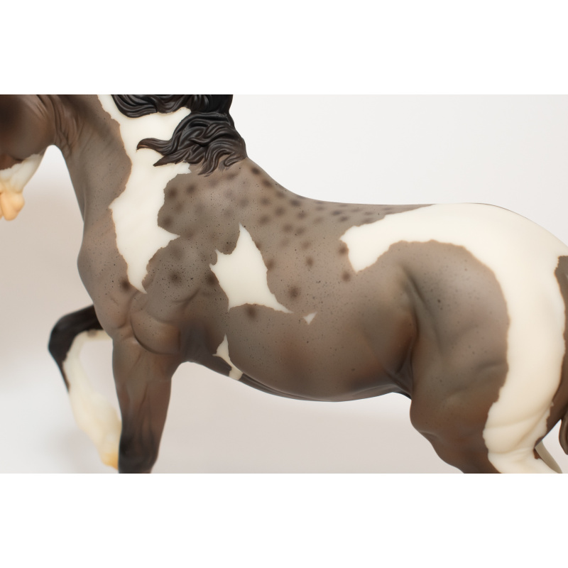Faux OF Fireheart to a Bay Roan Paint with Reverse Dapples