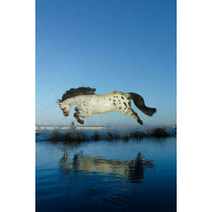 Breyer horse appaloosa no stand