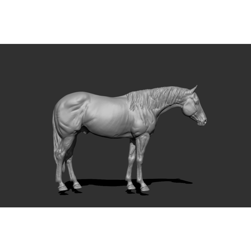 Buffalo UNPAINTED stablemate