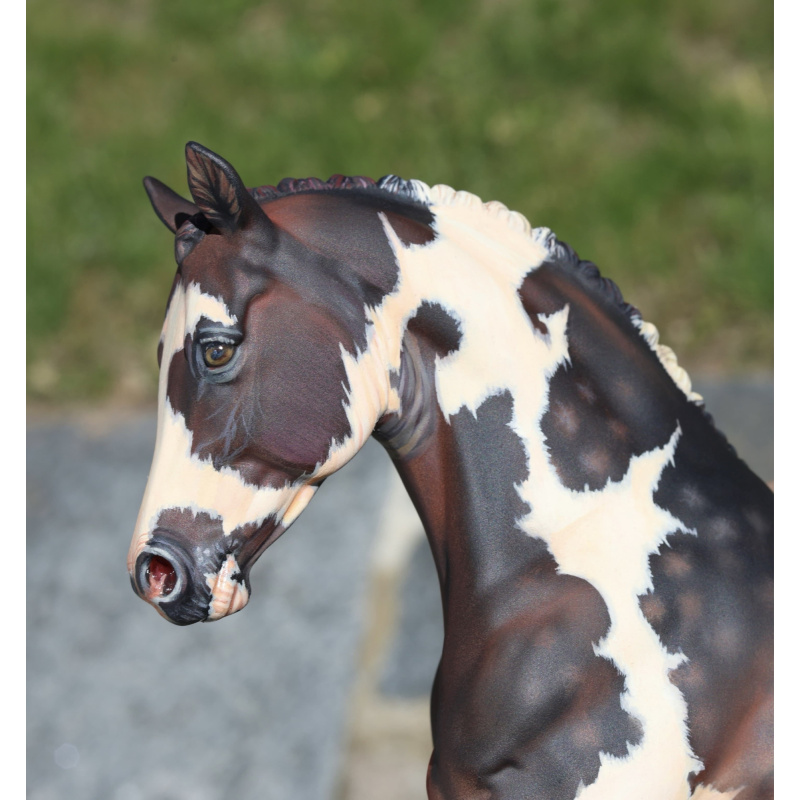 Breyer Traditional Braided Rowan | Dappled Bay W/ Heterochromia