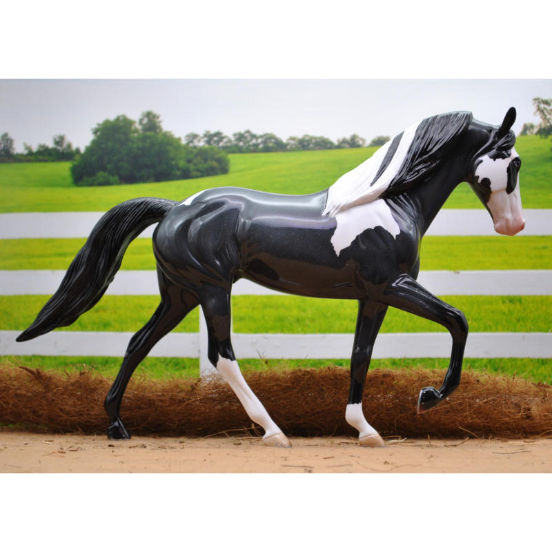 Stone TWH DAH Stunning Glossy Blue Roan Tobiano with Blue Eyes