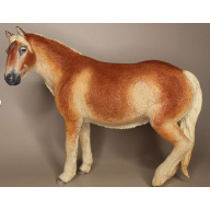 yakutan mare