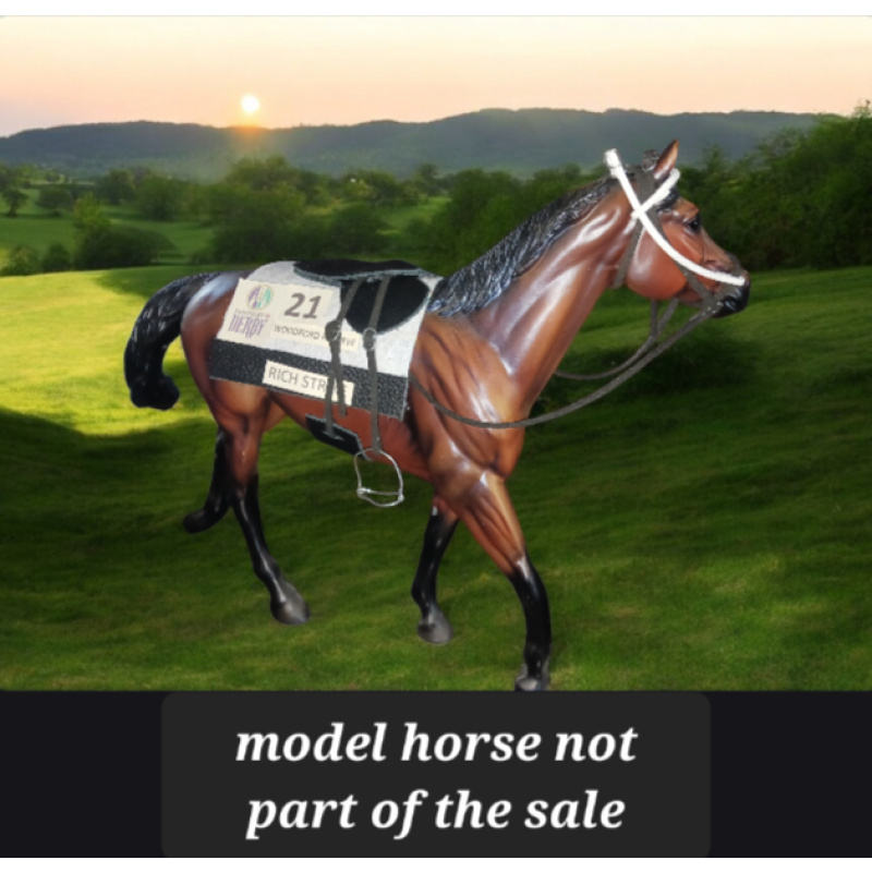 Breyer Horse custom race set you choose